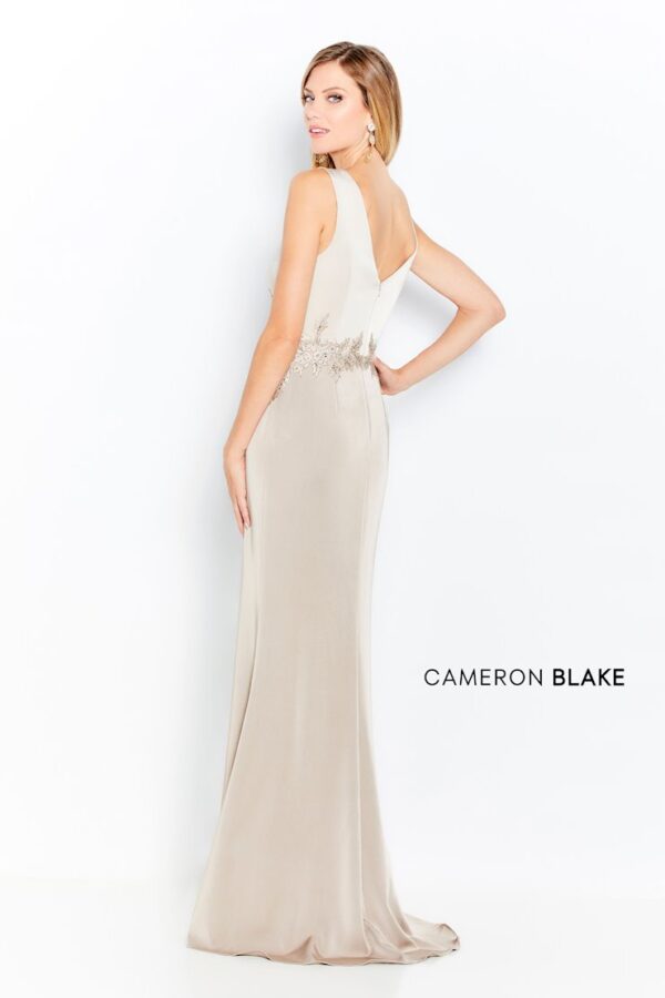 120611 Champagne cameron blake mother of the bride dress back