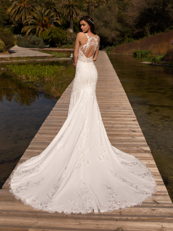 Alcyone wedding dress by Pronovias Bridal back view
