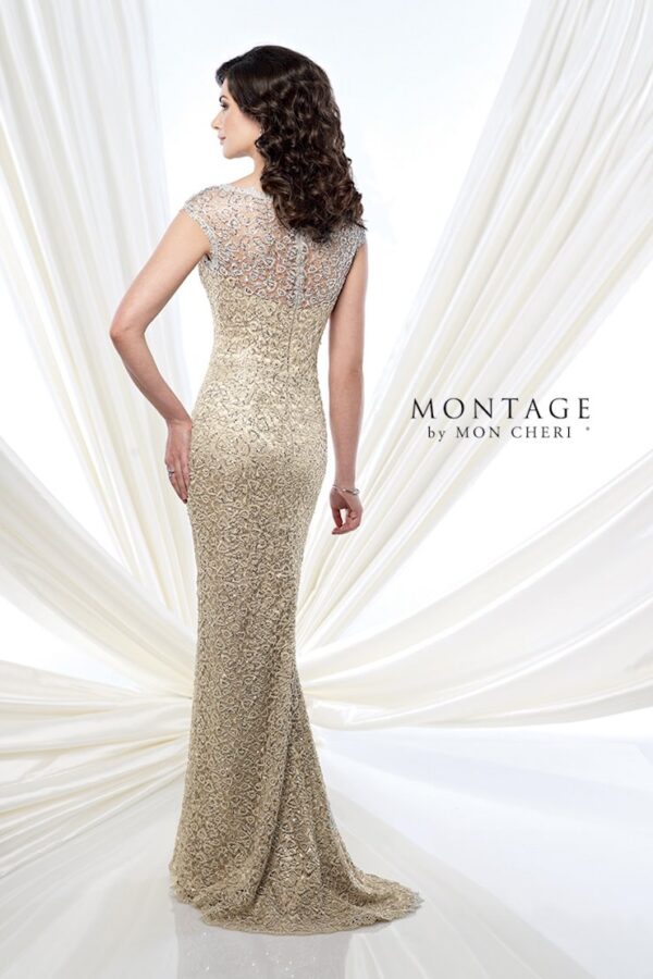 215912 by Montage back