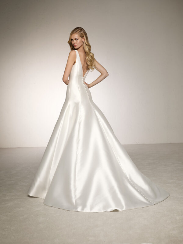 Delfina by Pronovias Wedding Dress